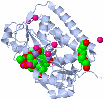 Image Biological Unit 1