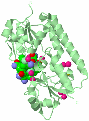 Image Biological Unit 2