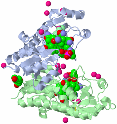 Image Biological Unit 3