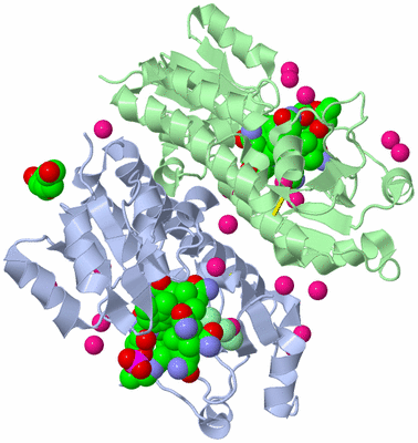 Image Biological Unit 4