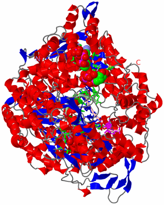 Image Asym./Biol. Unit - sites