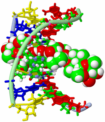 Image NMR Structure - model 1, sites