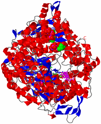 Image Asym./Biol. Unit