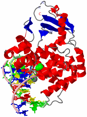 Image Asym./Biol. Unit