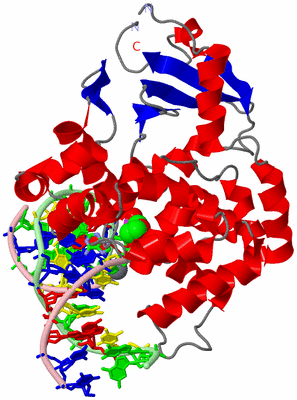 Image Asym./Biol. Unit - sites