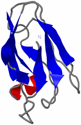 Image Theoretical Model