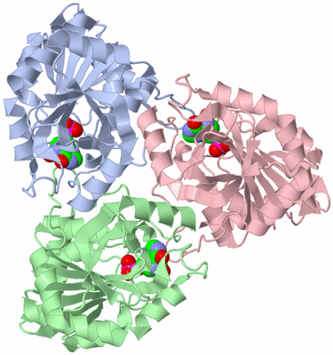 Image Asym./Biol. Unit