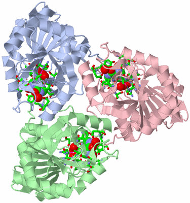 Image Asym./Biol. Unit - sites