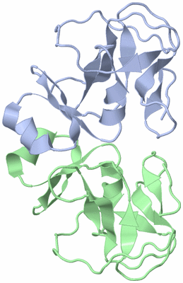 Image NMR Structure - model 1