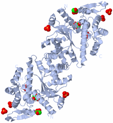 Image Biological Unit 1