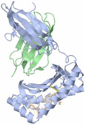 Image Biological Unit 1