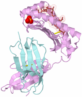 Image Biological Unit 3