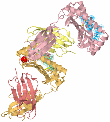 Image Biological Unit 5