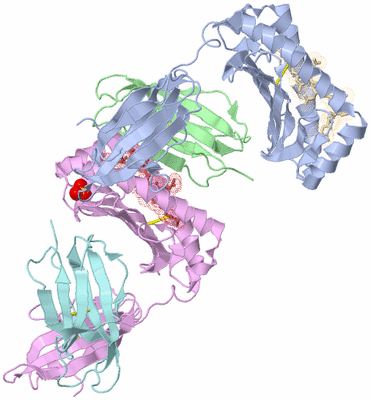 Image Biological Unit 6