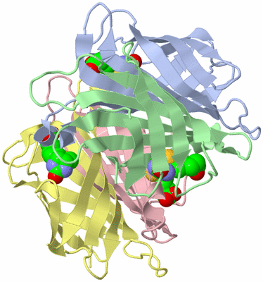 Image Asym./Biol. Unit