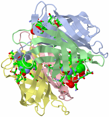 Image Asym./Biol. Unit - sites