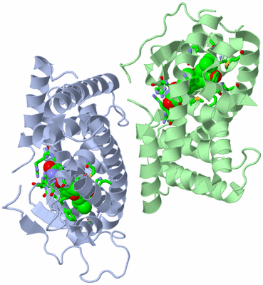 Image Asym./Biol. Unit - sites