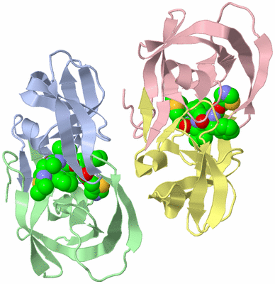 Image Asymmetric Unit