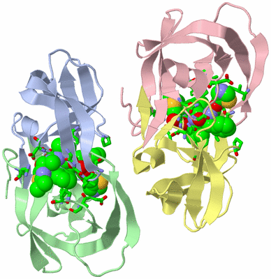 Image Asym. Unit - sites