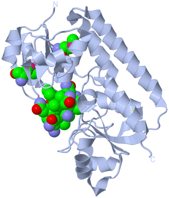 Image Biological Unit 1