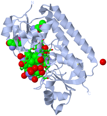 Image Biol. Unit 1 - sites