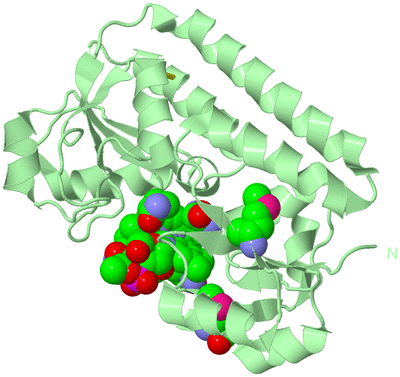 Image Biological Unit 2