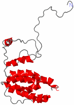 Image NMR Structure - model 1