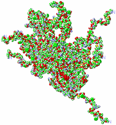 Image NMR Structure - all models