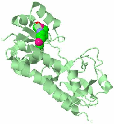 Image Biological Unit 2