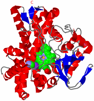 Image Asym./Biol. Unit