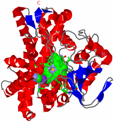 Image Asym./Biol. Unit - sites