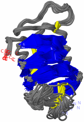 Image NMR Structure - all models