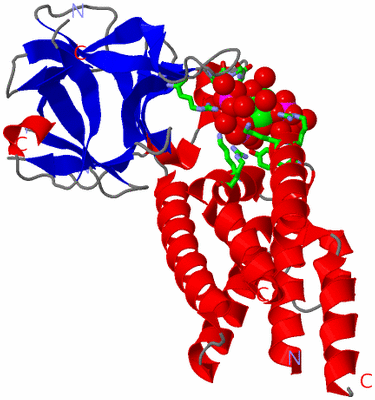 Image Asym./Biol. Unit - sites