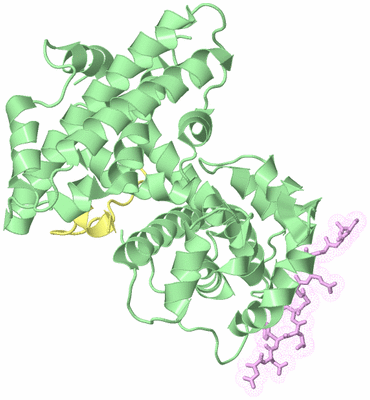 Image Biological Unit 2