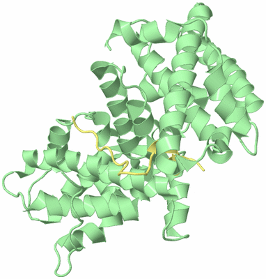 Image Biological Unit 4