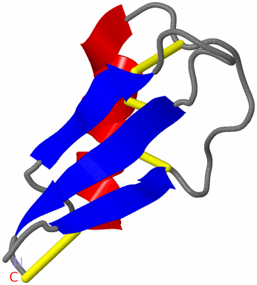 Image NMR Structure - model 1