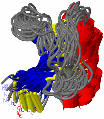 Image NMR Structure - all models