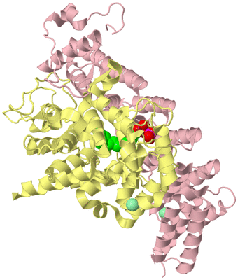 Image Biological Unit 2