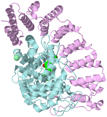 Image Biological Unit 3