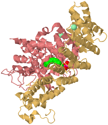 Image Biological Unit 4
