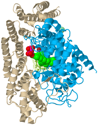 Image Biological Unit 5
