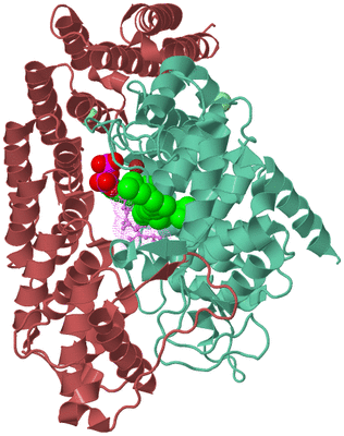 Image Biological Unit 6