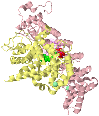 Image Biological Unit 2