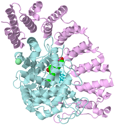 Image Biological Unit 3