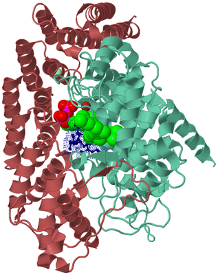 Image Biological Unit 6