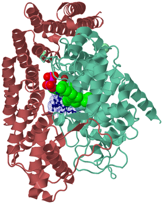 Image Biological Unit 6