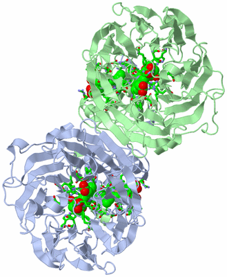 Image Asym./Biol. Unit - sites