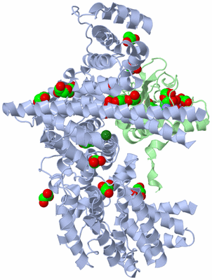 Image Asym./Biol. Unit