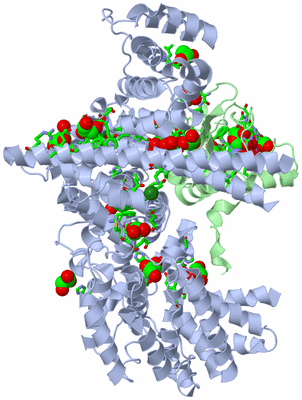 Image Asym./Biol. Unit - sites