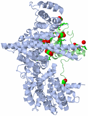 Image Asym./Biol. Unit - sites